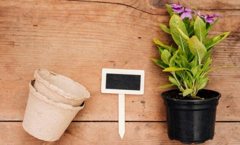 How can smart home technology enhance your gardening experience?