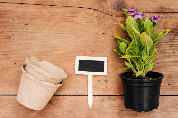 How can smart home technology enhance your gardening experience?